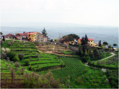Cortona ,le village o s'est installe France Mayes et qu'elle dcrit si joliment dans ses livres